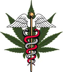 Marijuana And Cancer